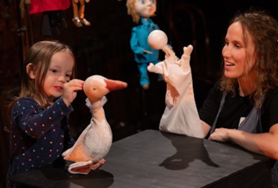 Кукловедение