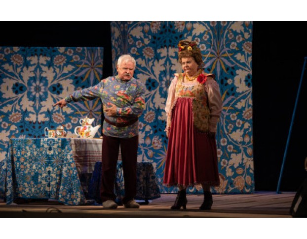 не в свои Сани не садись