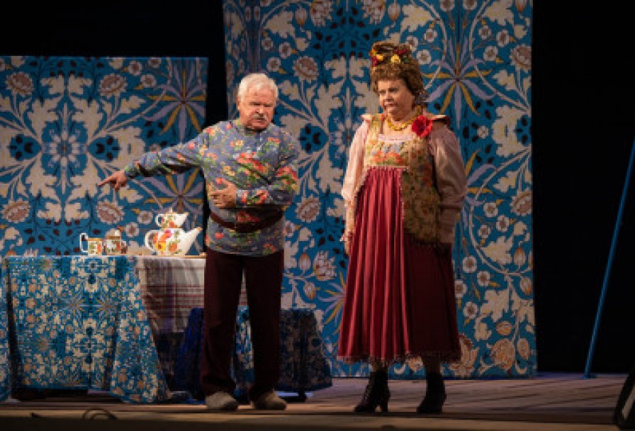 не в свои Сани не садись