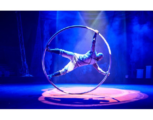 Новогодняя Тайна Пирата