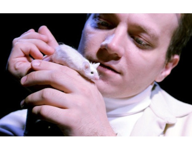 Цветы для Элджернона