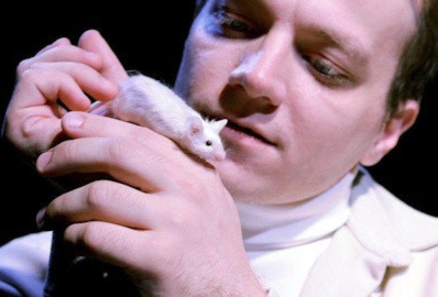 Цветы для Элджернона