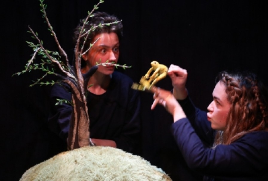 почему Деревья не Ходят