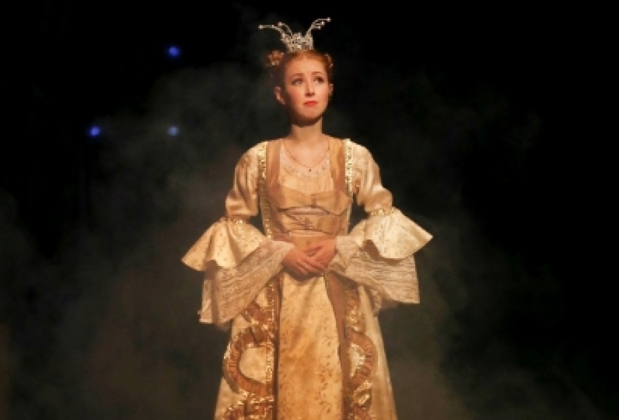 Бременские Музыканты