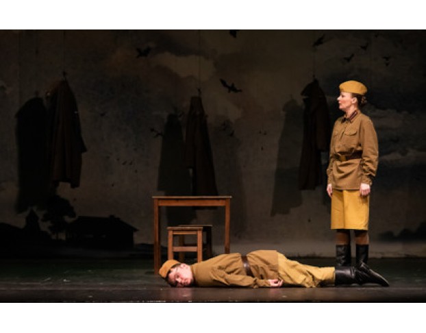 Бессмертники