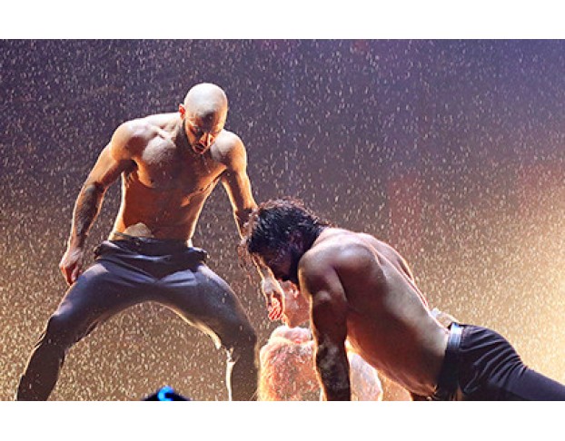 Сезон Дождей