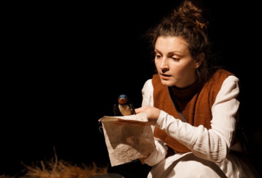 Дневник Ласточки