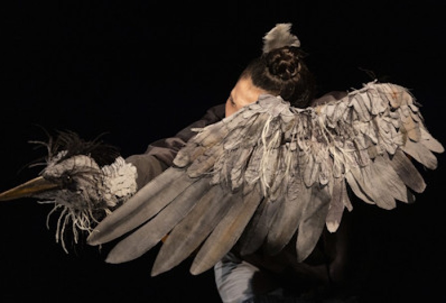 Журавль и Цапля