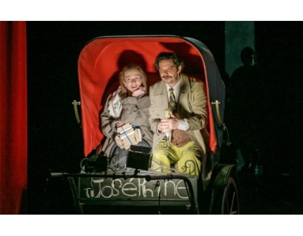 Мадам Бовари