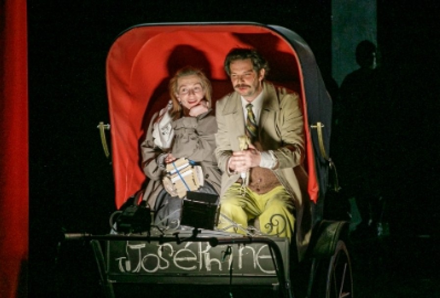 Мадам Бовари