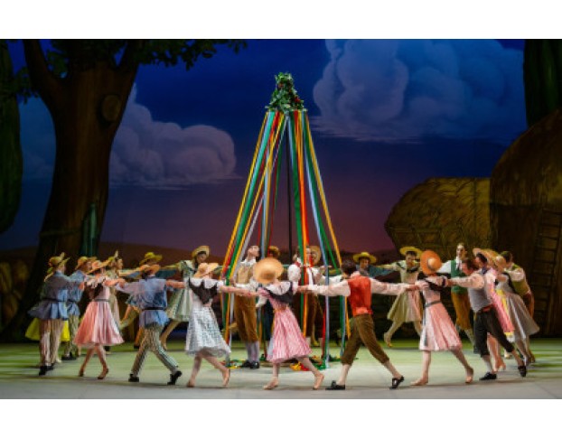 Тщетная Предосторожность