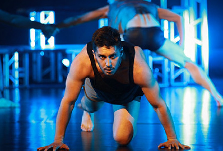 Жилец Вершин