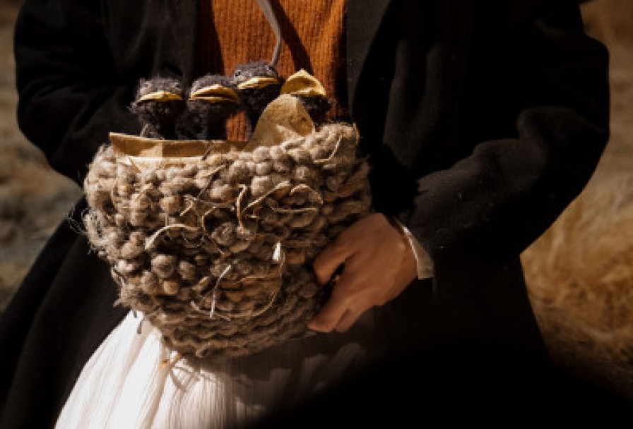 Дневник Ласточки