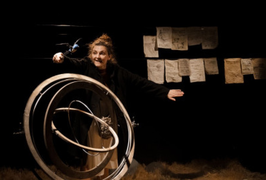 Дневник Ласточки