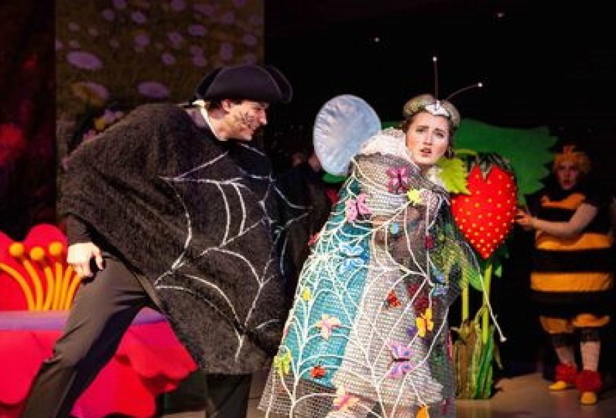 День Рождения Мухи