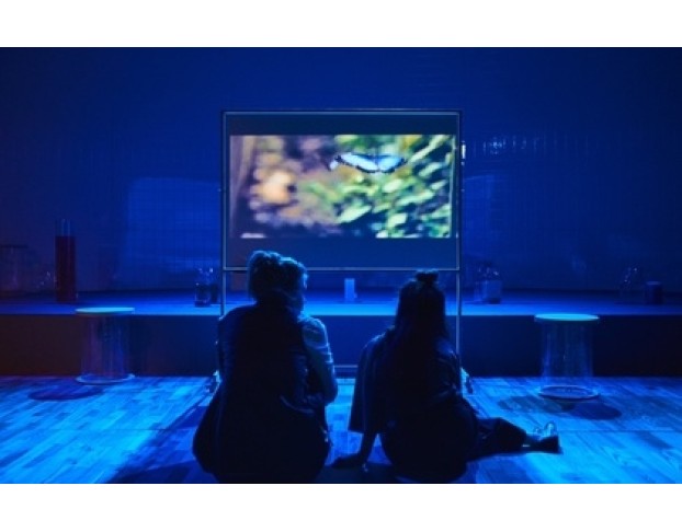 Доклад о Медузах