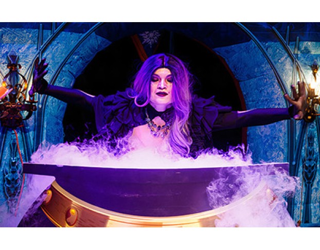 Ледяное Сердце Легенды Нового Года