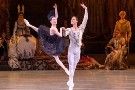 Лебединое Озеро