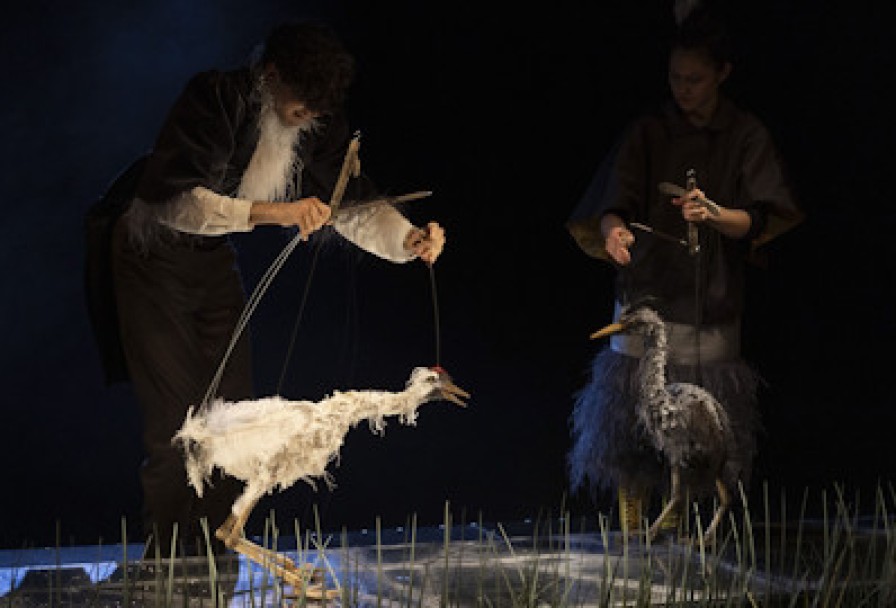 Журавль и Цапля