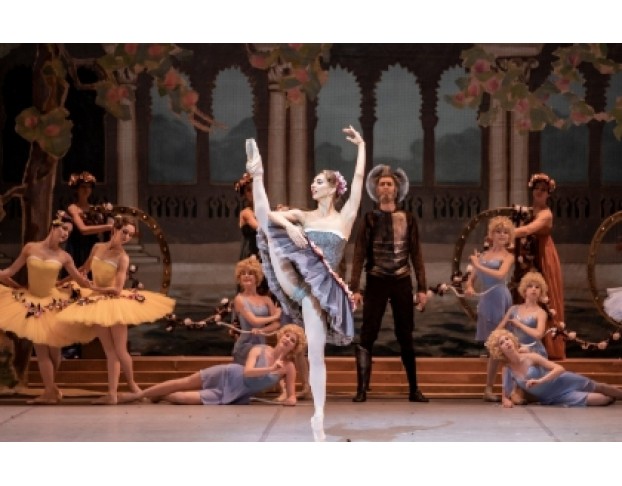 Дон Кихот Ламанчский