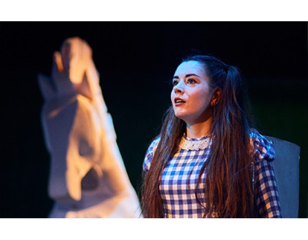 Алиса в Зазеркалье