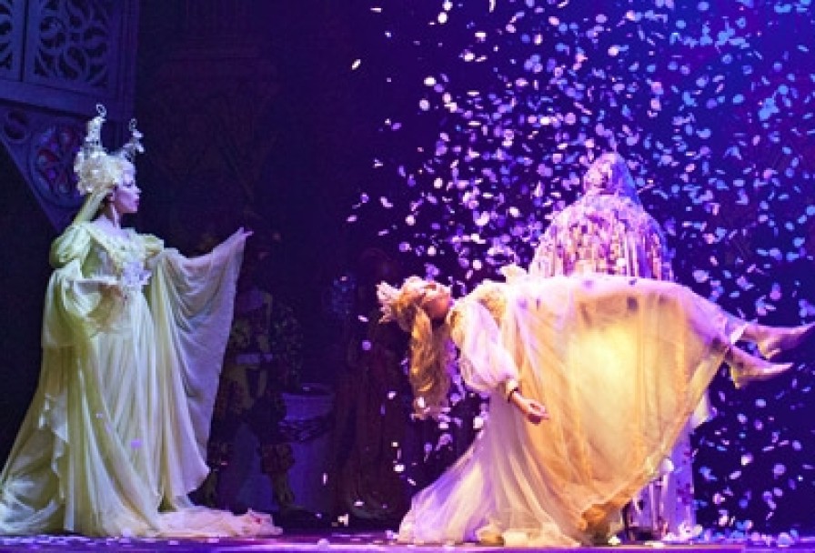 Спящая Красавица