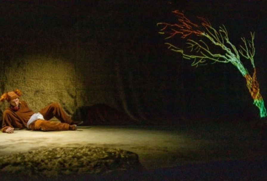 без Поводка