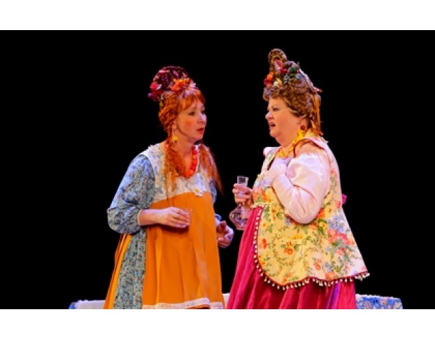 не в Свои Сани не Садись