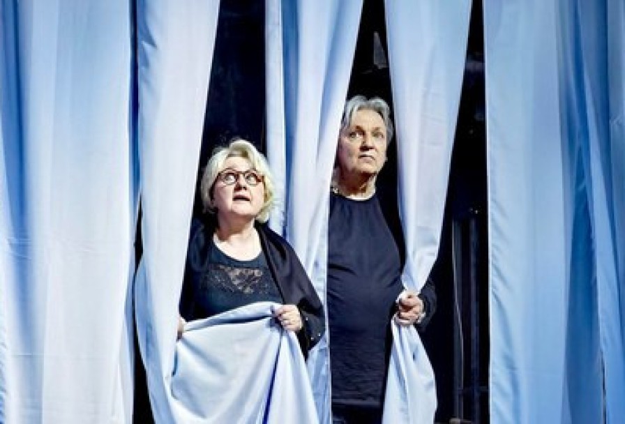 Земля Эльзы