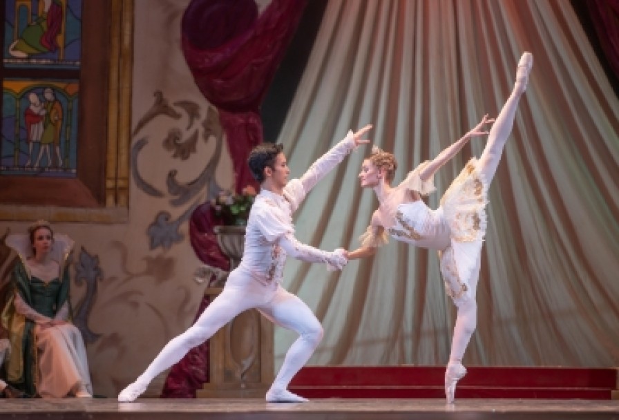 Спящая Красавица