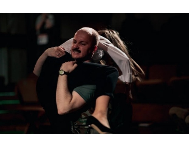 Земля Эльзы