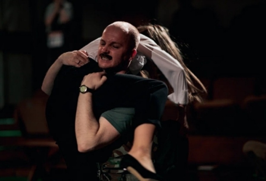 Земля Эльзы