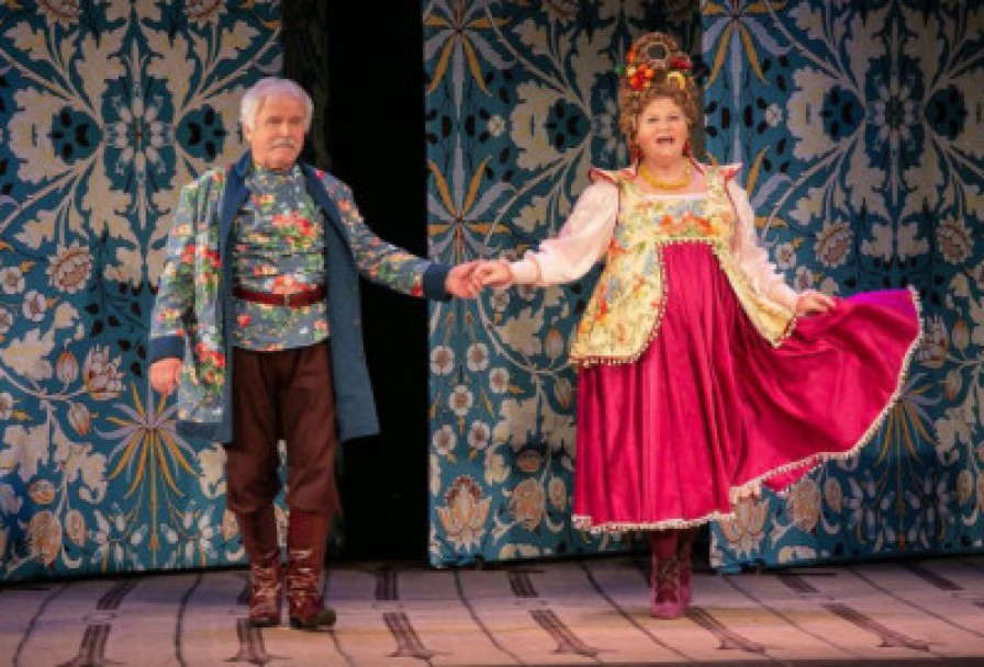 не в свои Сани не садись