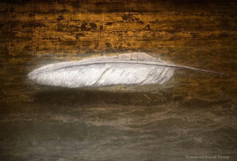 Мандрагора