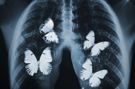 Дама с Собачкой