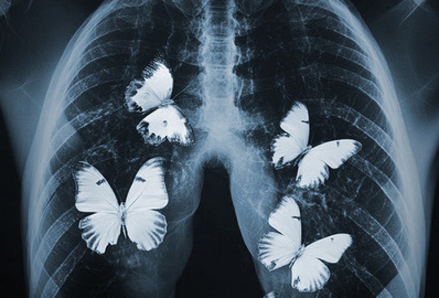 Дама с Собачкой