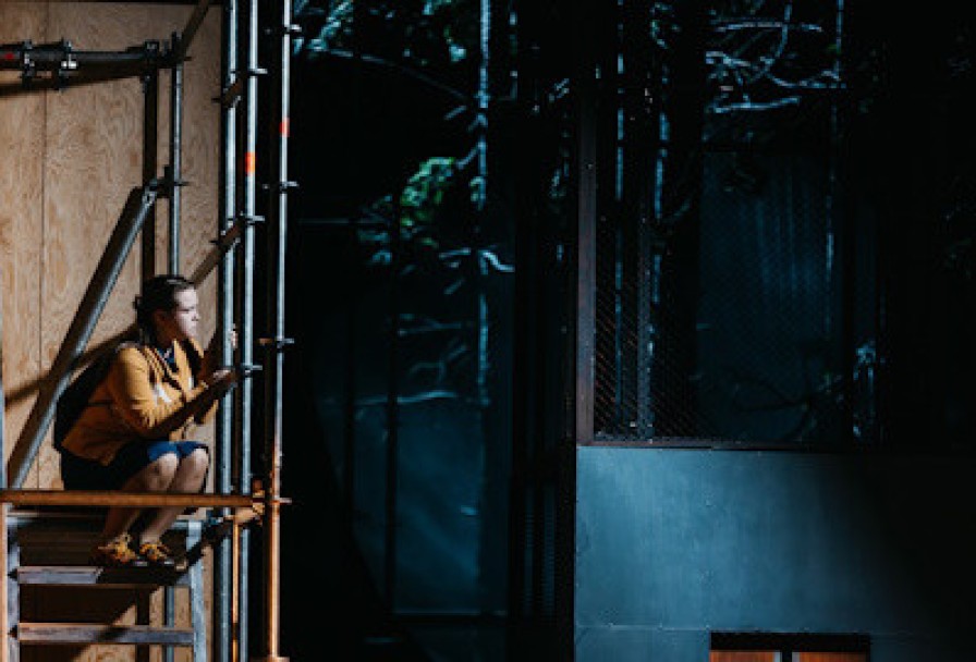 Утиная Охота