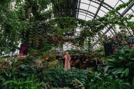 Музыка в Оранжерее