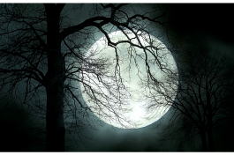 Поэтический Шабаш