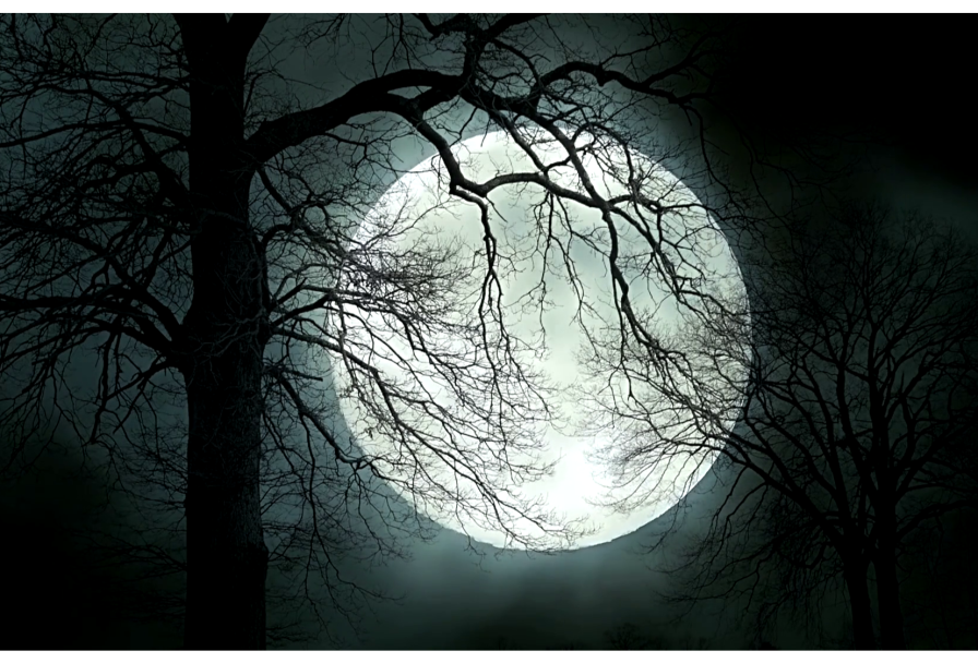 Поэтический Шабаш