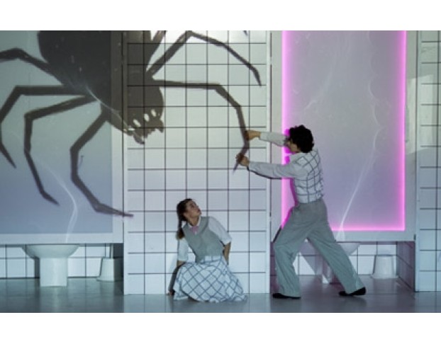 Принцесса и Пьер