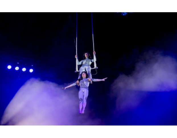 Елка в Цирке