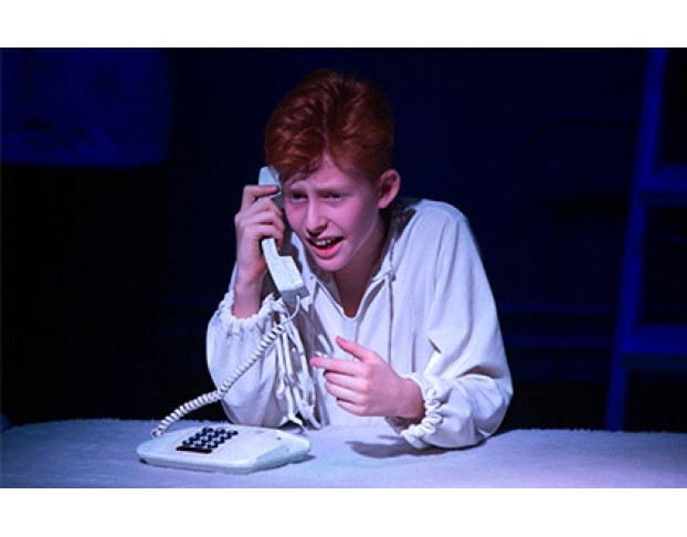 Оскар и Розовая Дама