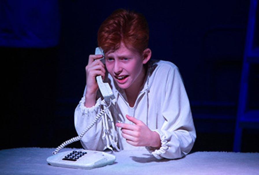 Оскар и Розовая Дама