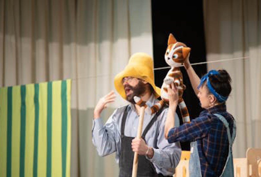 Петсон и Финдус. Театр Комикс