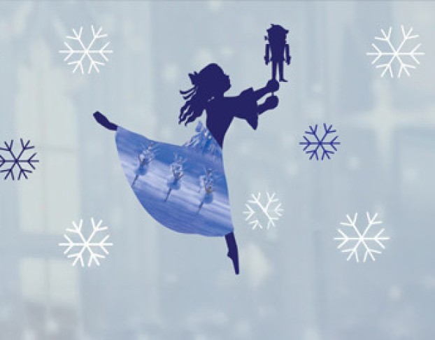 Щелкунчик П.и. Чайковского Академии Русского Балета Имени а. Я. Вагановой. Возможна Телесъёмка