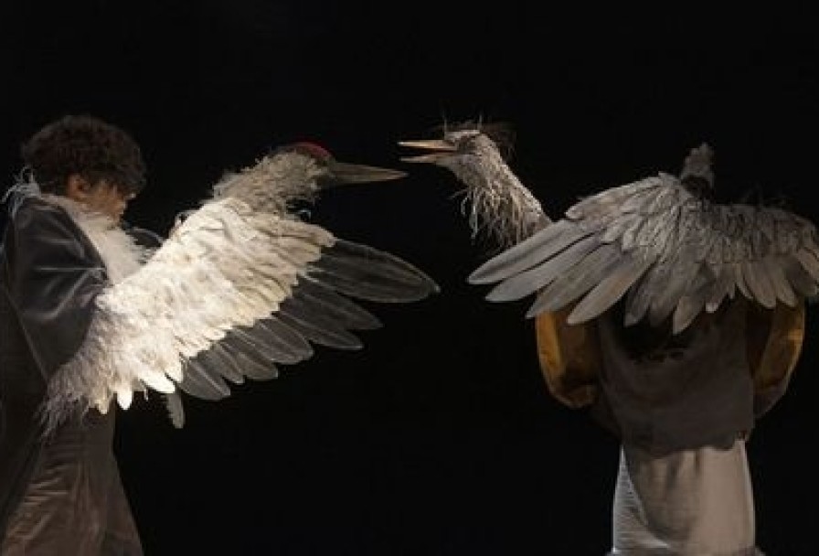 Журавль и Цапля