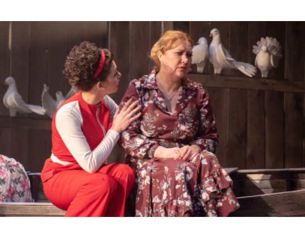 Любовь и Голуби