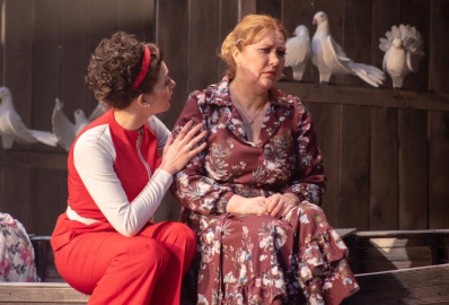 Любовь и Голуби