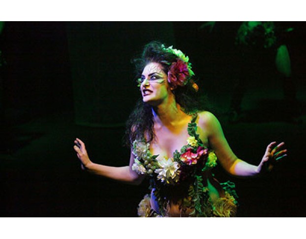 Сон в Летнюю Ночь